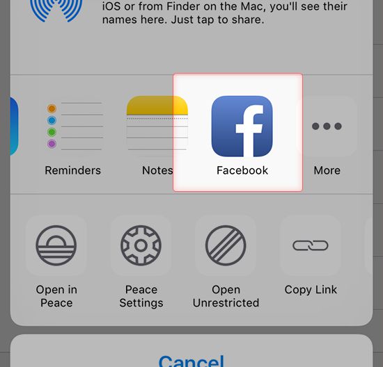 Screenshot to select Facebook as target App for the link generated by Dropbox App on iPhone